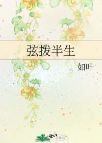 弦拨半生